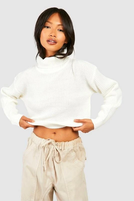 BOOHOO Cropped Fisherman Turtleneck Sweater 1 BOOHOO Cropped Fisherman Turtleneck Sweater