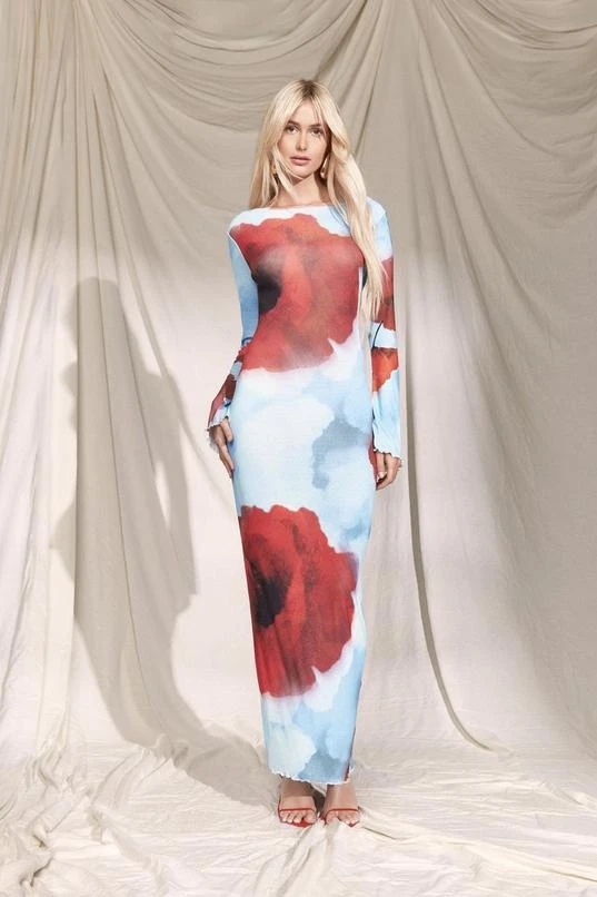 BOOHOO Sheer Scoop Back Floral Maxi Dress 1 BOOHOO Sheer Scoop Back Floral Maxi Dress